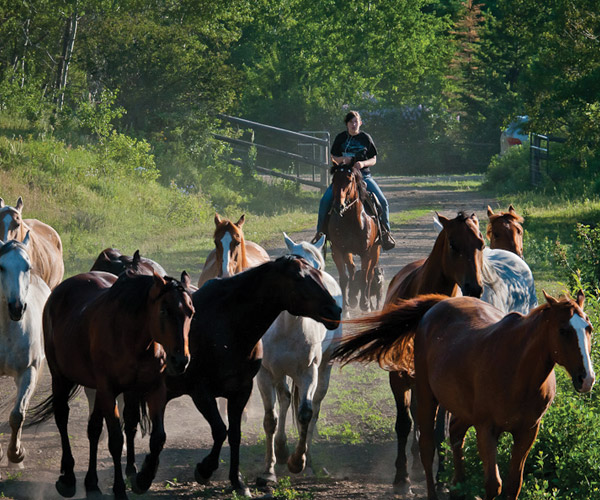  Ranch Cowboy School - Habibi World Travel & Tour America